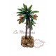 Double palm tree