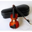 Violin With case