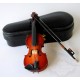 Violin With case