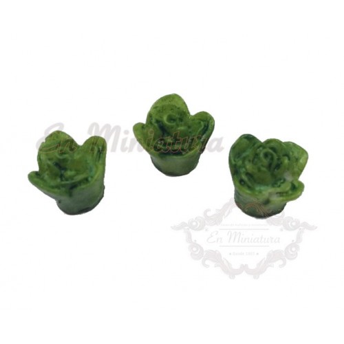 Set of three small lettuces