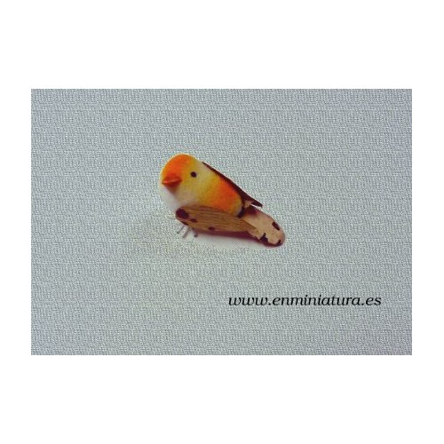 Pájaro en miniatura